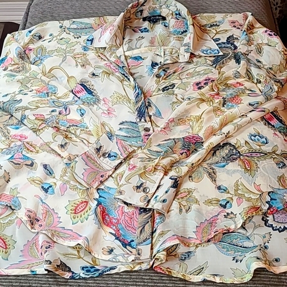 Cecico Sheer Hi / Low Blouse - Picture 7 of 7